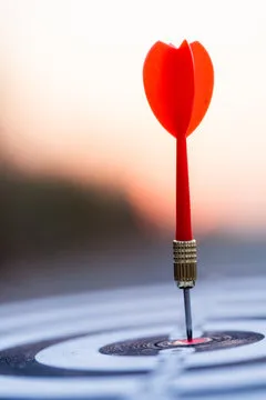 数据卡片预览 A